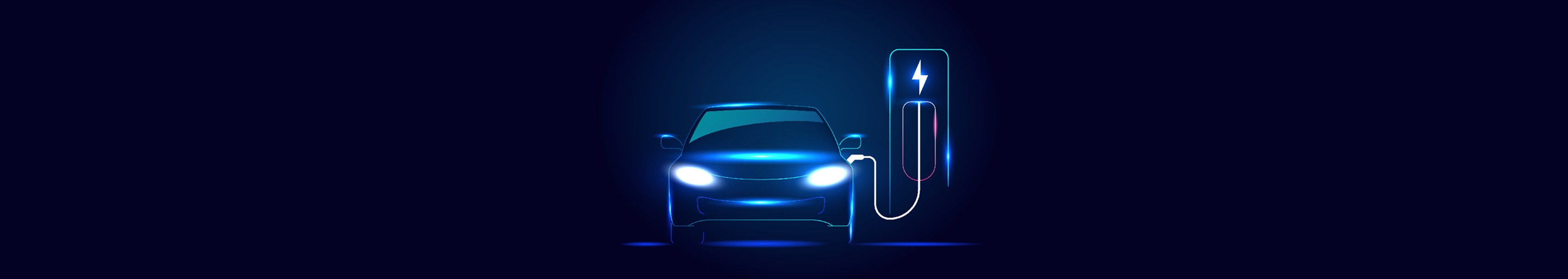 Software for Electric Vehicle Networks